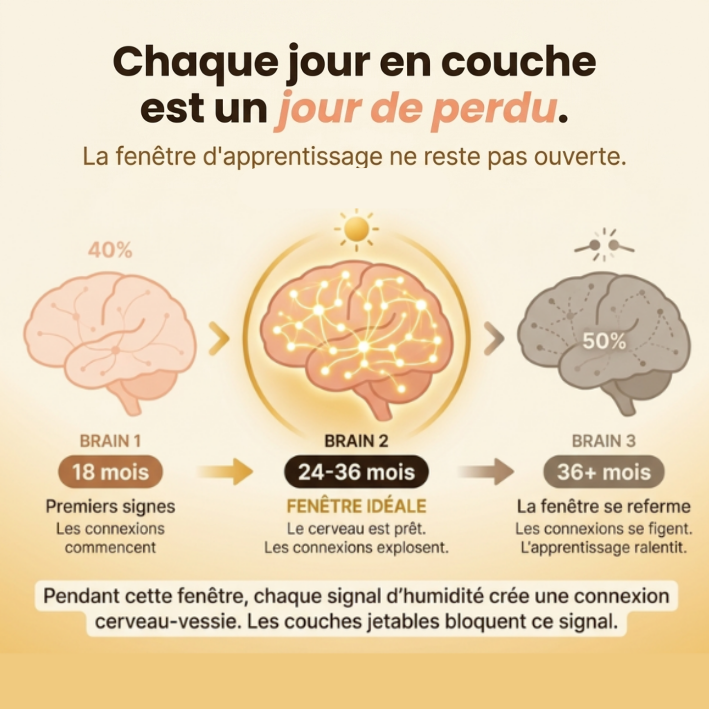 Culottes d'apprentissages
