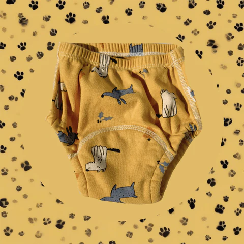 Culottes d'apprentissages